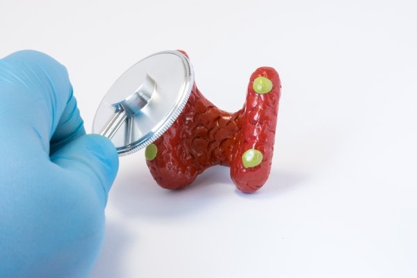 Bir başlık ekleyin (81)